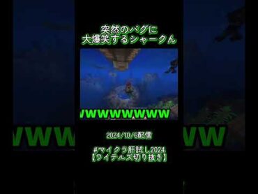 【マイクラ肝試し2024】ルル家でまさかの2人乗り!?突然のバグに大爆笑するシャークん【ワイテルズ切り抜き】
