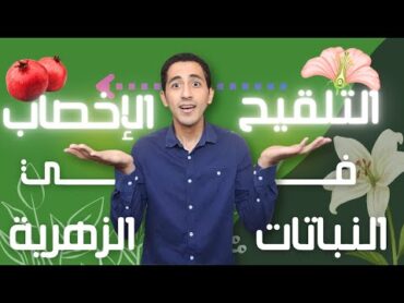 شرح التلقيح والإخصاب في النباتات الزهرية 3 ثانوي