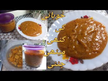 Khubani Ki Chatni Recipe  Khubani Ki Chatni  Khubani Ki Chatni Bnane Ka Tarika خوبانی کی چٹنی