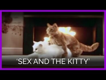 Sex and the Kitty