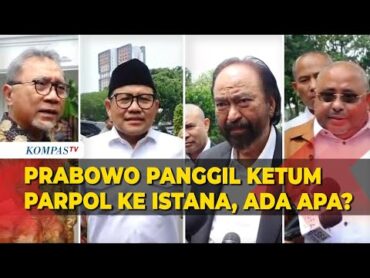 Prabowo Undang Ketum Parpol ke Istana, Hadir Surya Paloh hingga Cak Imin, Ada Apa?