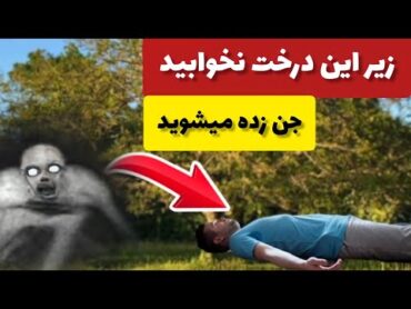 درخت ترسناک که با خوابیدن زیر آن جن زده میشویدباغبان آزاد