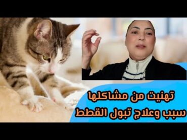 💞ديتها للمصحة تحيد الغراز تهنيت من مشاكلها السبب والعلاج  لمنع  تبول القطط عشاء بفواكه البحر