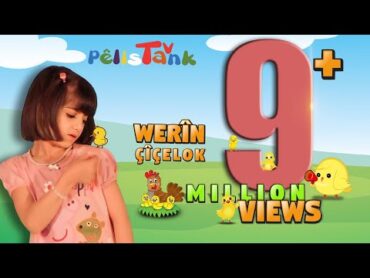 وەرین  چیچەلۆک  WERÎN  ÇîÇELOK  PELÍSTANK TV