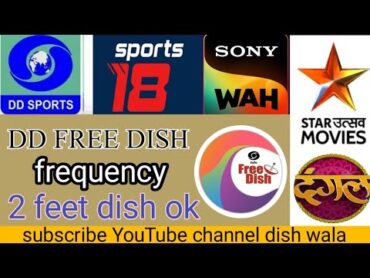 nss6 free dish channel frequency 2024 all tp