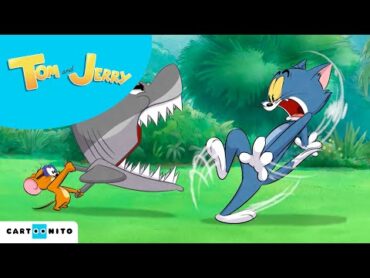 Tom e Jerry  Pesca perigosa   Nova Série  Cartoonito