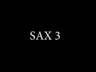 SAX 3