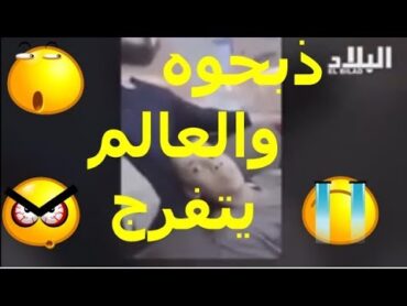 كيف تمكّن هؤلاء من ذبح هذا ‫ الطفل‬؟ مقطع فيديو لـ"ذبح طفل" على يد ‫المعارضة السورية‬ يصدم العالم