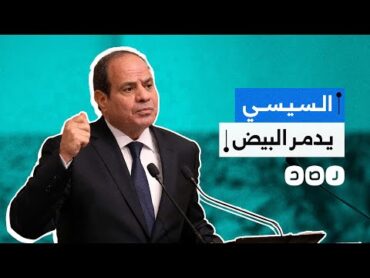 كيف دمرت حكومة السيسي صناعة البيض في مصر؟