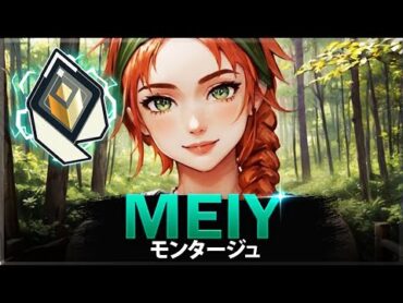 【VALORANT】スカイメインが 天才を演じるとき!「Meiy」レディアント日本トップランカー  ヴァロラントモンタージュ