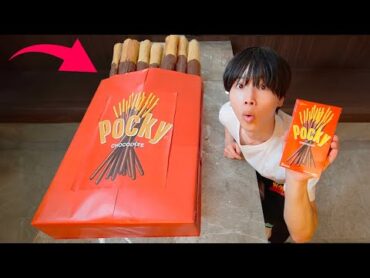 300倍の超巨大ポッキー作ってみた！！