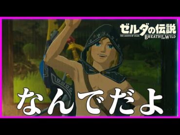 その記憶の思い出し方はまずい『ゼルダの伝説 ブレス オブ ザ ワイルド』15