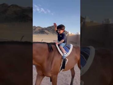 فرحته اذا راح للإسطبل😂♥️🐎