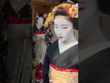 黒紋付き姿の芸舞妓さんが素敵 京都 舞妓