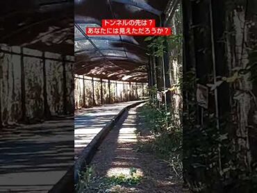 トンネルをみつけた(後編) 心霊 怖い 恐怖 スポット トンネル 廃墟 神社 城跡 mystery 謎 不思議 mystical fantastical