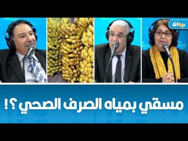 ناس الديوان: التخفيض في أسعار الموز في تونس..و هذا الفرق بين الإكوادوري و المصري..