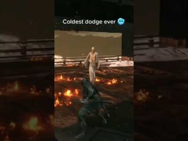 The coldest dodge ever in a videogame 🥶