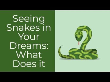 Seeing Snakes in Your Dreams: What Does it Mean?