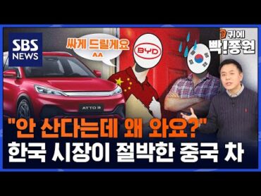 "손해봐도 팔아라"..중국이 필사적인 이유, &39;한국의 전진기지화&39; / SBS / 귀에빡종원