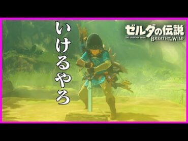 ハートが無いと抜けない剣？余裕でしょ『ゼルダの伝説 ブレス オブ ザ ワイルド』16