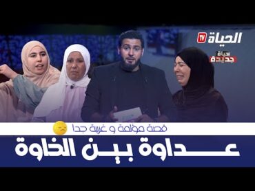 حياة جديدة  العدد 4: قصة غريبة.. "خواتات" لكن أعداء.. HYAT JDIDA