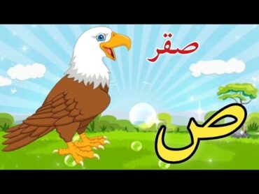 الحروف العربية للاطفال/كلمات تبدأ بحرف الصاد/ص/ الحروف الهجائية للاطفال بدون موسيقى Arabic alphabets