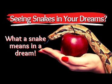 What a Snake Means in a Dream/Biblical Dream Interpretation!