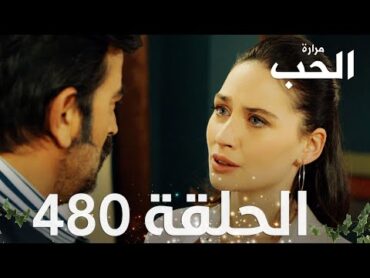 مسلسل مرارة الحب  الحلقة 480 مدبلجة  Bir Zamanlar Çukurova