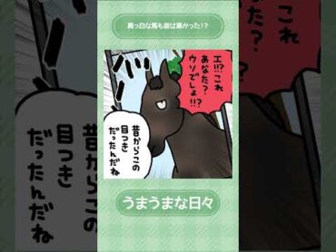 真っ白な馬も昔は黒かった！？🐴  うまうまな日々 shorts   JRA公式