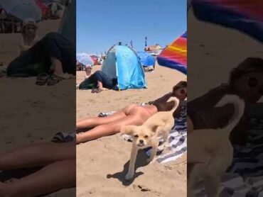 🇦🇷 Villa Gesell Beach Hot Day at