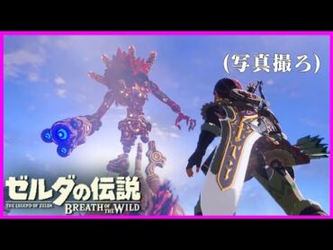 絶対ボスとのツーショットを成功させたい勇者『ゼルダの伝説 ブレス オブ ザ ワイルド』12