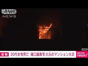 【速報】救助された30代女性死亡 猪口邦子議員宅が火元のマンション火災 東京・文京区(2024年11月28日)