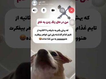 خاله ها همینقد بچه رو لوس میکنن 😅 funny طنز سگ یوتیوبر سابسکرایب فان