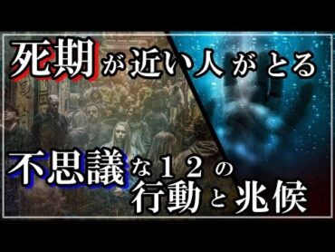 【衝撃】死期が近い人には急にし始める不思議な行動と兆候があった！突然、○○を始めたら・・・知ってよかった雑学　ビビットｃｈ