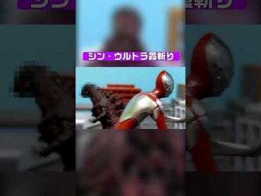 【ウルトラ霞斬り】シン・ジラースVSシン・ウルトラマン ソフビ特撮 ultraman シンゴジラ