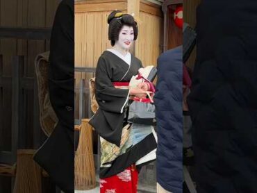 黒紋付き姿の美しい芸妓さん 京都 芸者