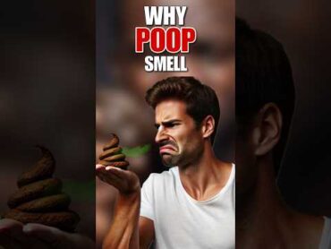 WHY POOP SMELL? facts science