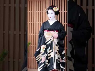 人気の舞妓さん黒紋付きの正装姿maiko祇園