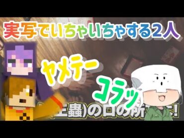 綺麗すぎる手でいちゃいちゃするしにがみくんとぺいんとさん【日常組切り抜き】