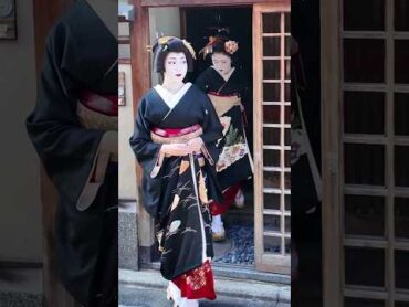 黒紋付きの美女が続々と出てくる 芸妓舞妓京都