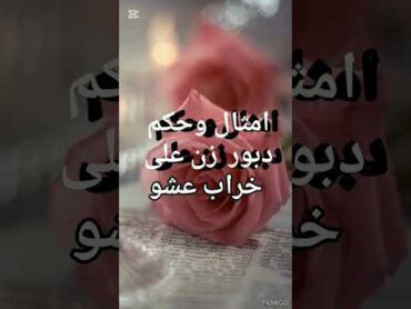 امثال وحكم دبور  زن على خراب عشو 😃😃😃😃😃😃😃😃😃😃😃😃😃😃😃😃😃😃😃😃😃😃😃😃😃😃😃😃😃