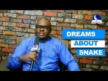 DREAMS ABOUT SNAKE  Find Out The Biblical Dream Meanings