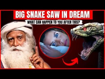 What Happens When We SAW SNAKE IN DREAM?  What If We Saw Snake In Dream?  Dreaming Of SNAKES