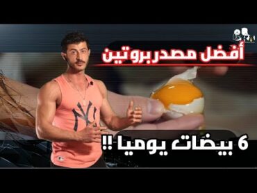 افضل مصدر بروتين لبناء العضلات ☑️ ولماذا يجب تناول 6 بيضات يوميا ☑️