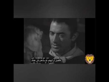 فلم كابوي الشجاع بطوله جريجوري بيك وباربرا بايتون انتجه سنه 1951 مترجم عربي