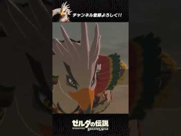 【shorts】リト族の戦士テバの小ネタ【BotW】