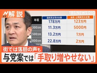 年収「103万円の壁」見直し、国民「178万円」与党「123万円」で収入はどのくらい増える？【Nスタ解説】｜TBS NEWS DIG