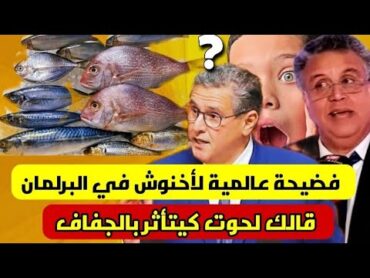 فضيحة أخنوش في البرلمان فضحوا اخنوش بطريقة استهزائية😅قالك لحوت غالي حيت كاين الجفاف🔥⬅️ الله ينعل لي