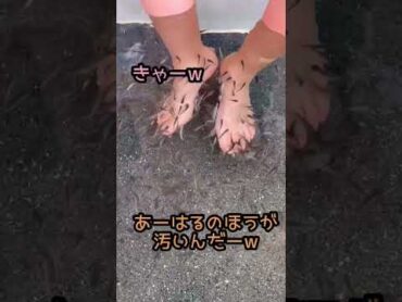 足の角質を食べるお魚ドクターフィッシュやったことある？ショート shorts Doctor Fish