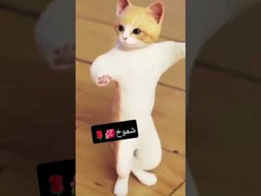 الطلبات مستمرة إسم شموخ شيلة funny viral shorts